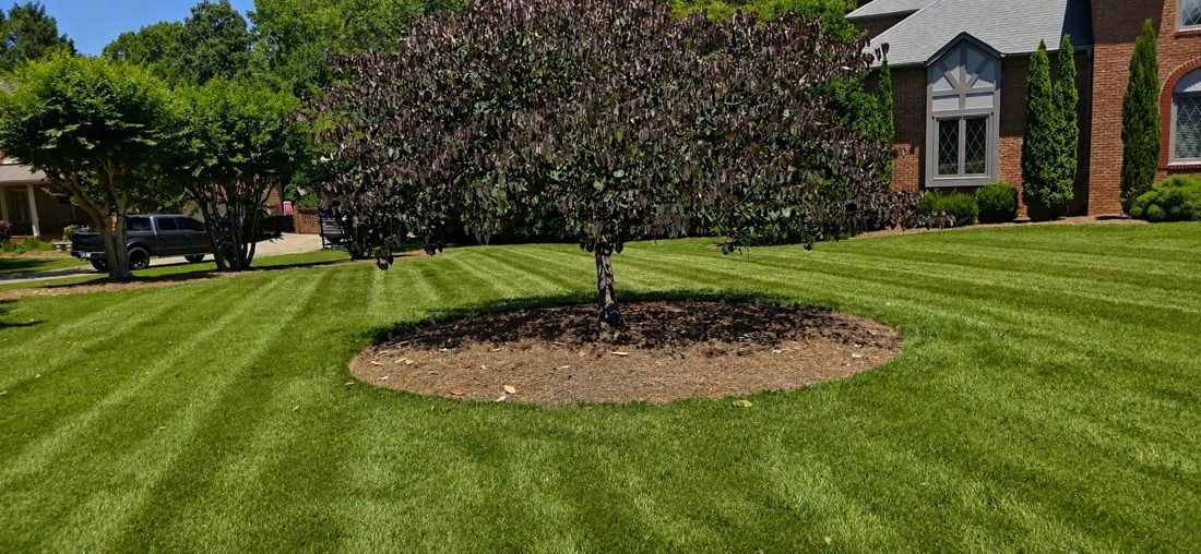 Tree and lawn care